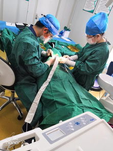 十年磨一劍 呼市至美口腔獲國內(nèi)外專家認可，引領(lǐng)口腔診療服務(wù)新標準